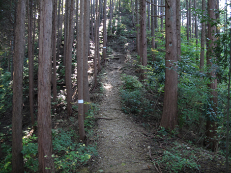 20171026hike (122)
